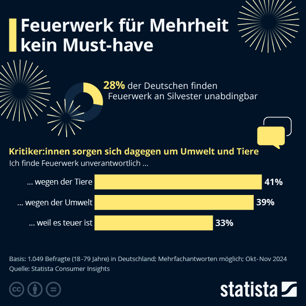 Können Sie sich Silvester ohne Feuerwerk vorstellen? - Infografik