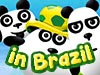 3 Pandas In Brazil