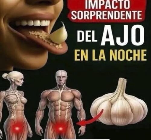 Come un diente de ajo cada día… ¡y transforma tu salud sin darte cuenta!