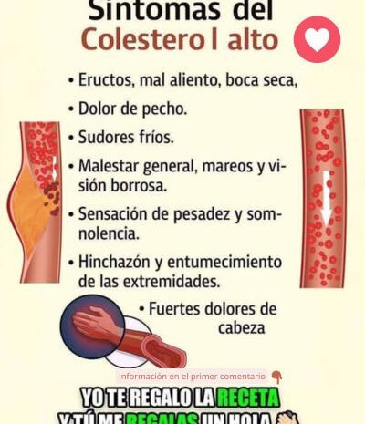 Entendiendo los Síntomas del Colesterol Alto y Cómo Combatirlo Naturalmente