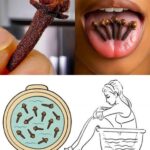 Beneficios del clavo de olor: una pequeña especia con grandes propiedades