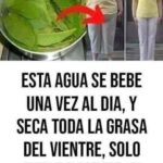 Té de Hojas de Guayaba para Adelgazar: Beneficios Reales y Cómo Prepararlo