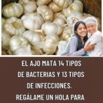 14 bacterias que el ajo puede combatir según estudios científicos