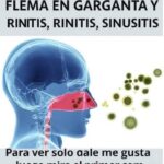 Elimina el Moco y la Flema: El Poder del Té de Jengibre