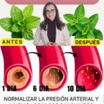 Remedios Naturales para Mantener las Arterias Limpias y Sanas